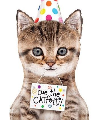 Catfetti Birthday