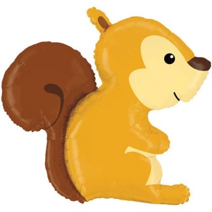 Woodland Squirrel