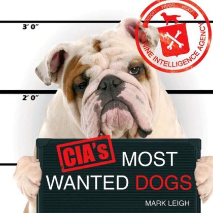 CIA'S Most Wanted Dogs