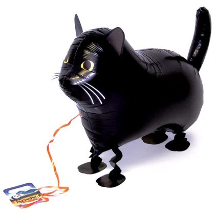BLACK CAT PET