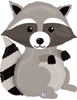 Woodland Raccoon