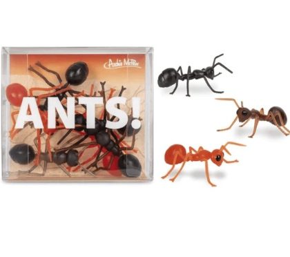 Ants!