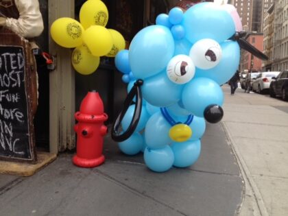 Blue Dog
