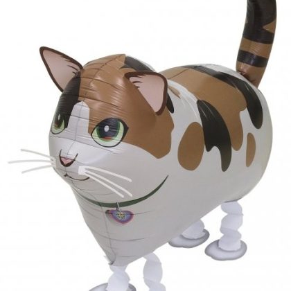 Calico Cat Pet Walker