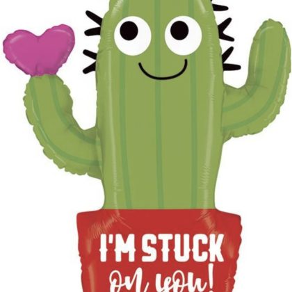 Valentine Cactus