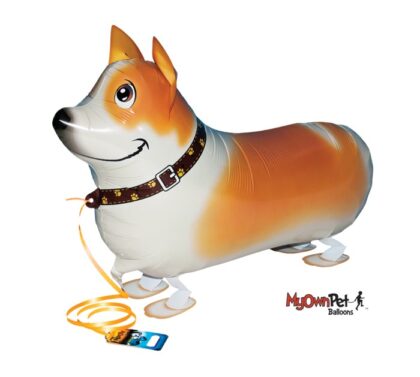 Corgi Pet