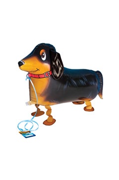 DACHSHUND PET