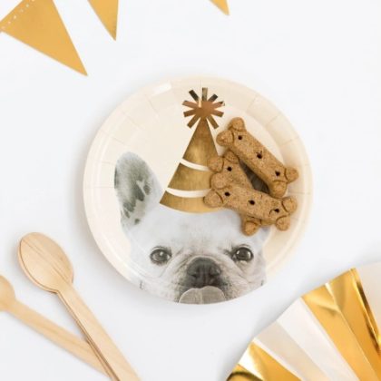 PARTY ANIMAL DOG PLATES