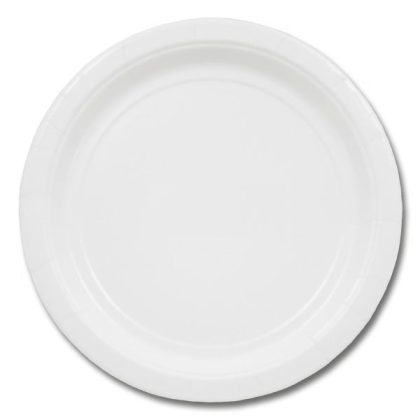 Frosty White Dinner Plate