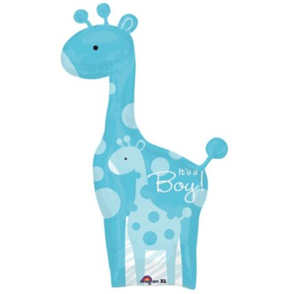 It's a Boy Giraffe