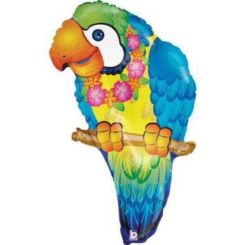 Parrot
