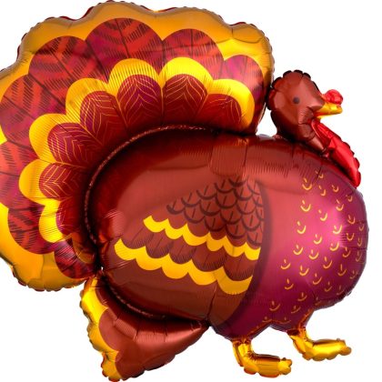 Turkey Supershape