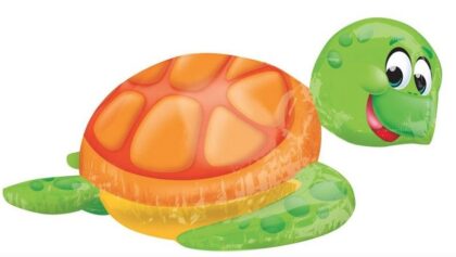 Silly Sea Turtle